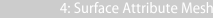 4: Surface Attribute Mesh