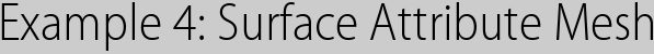 Example 4: Surface Attribute Mesh